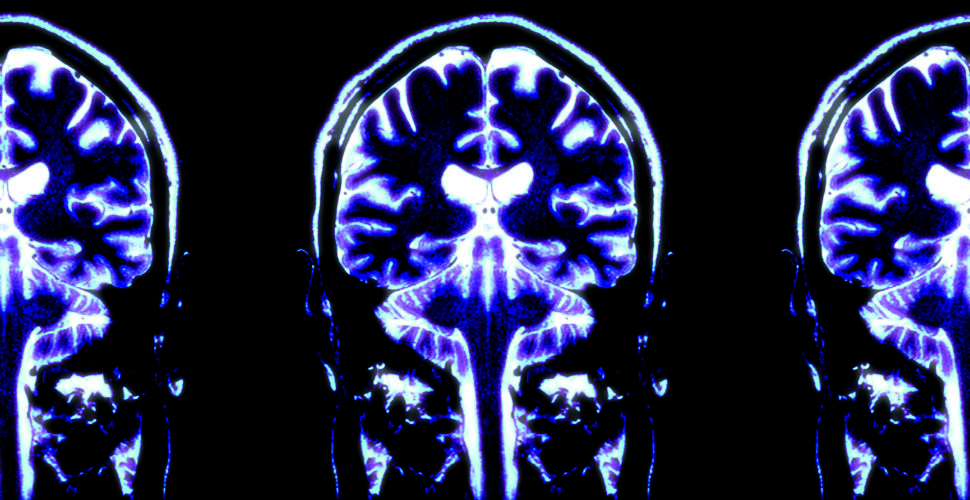 LaDOC Lectures „Sichtbar machen – aber wie?“