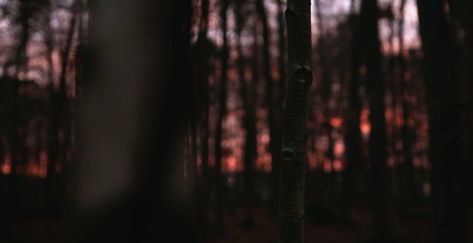 Grimme-Preis Nominierung für „Nirgendland“