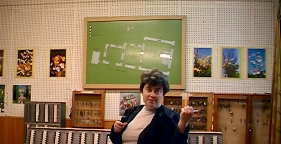 Das Haus der Regierung