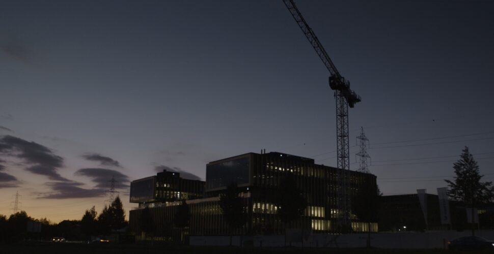 Der Ast auf dem ich sitze