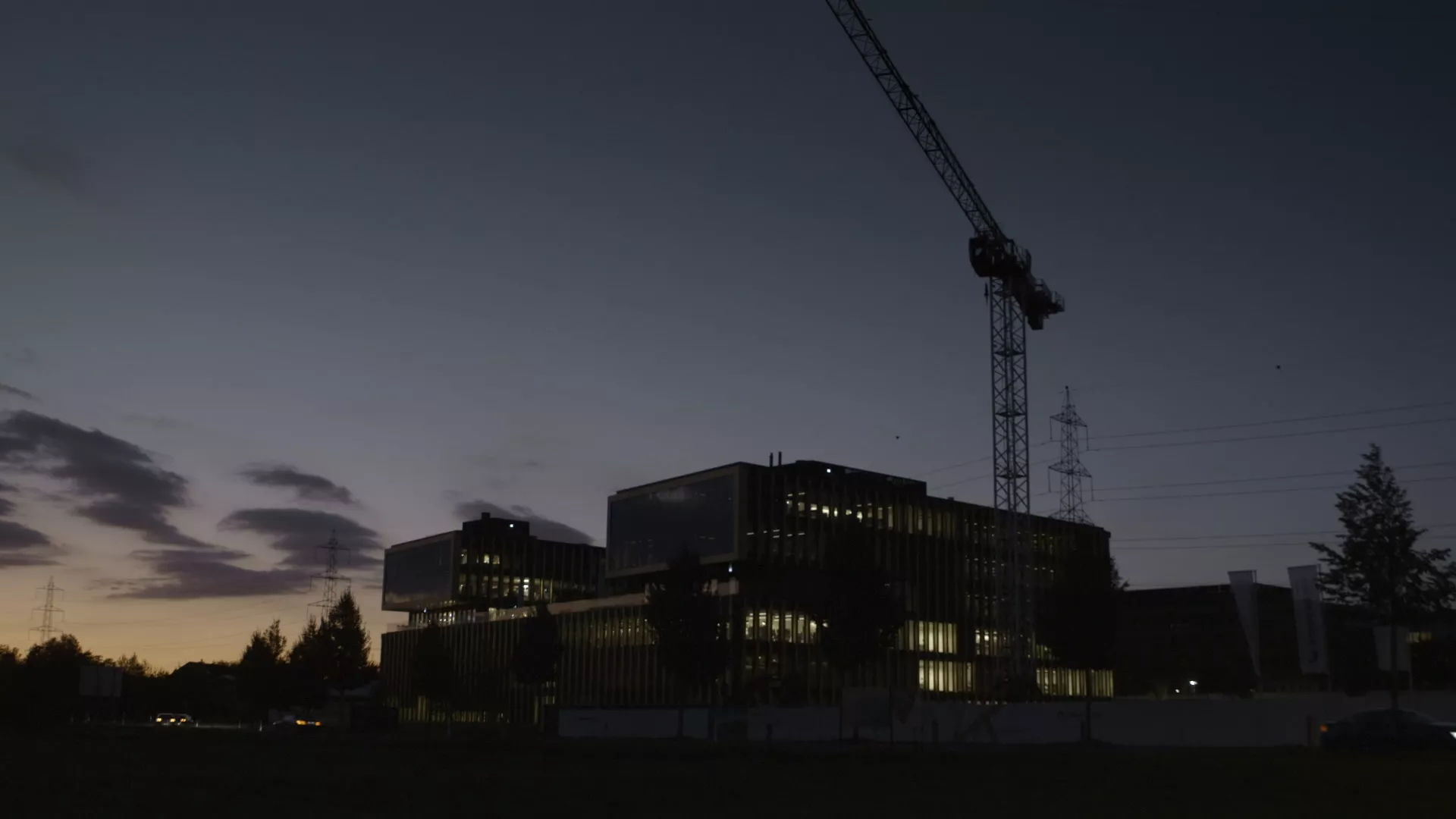 Der Ast auf dem ich sitze