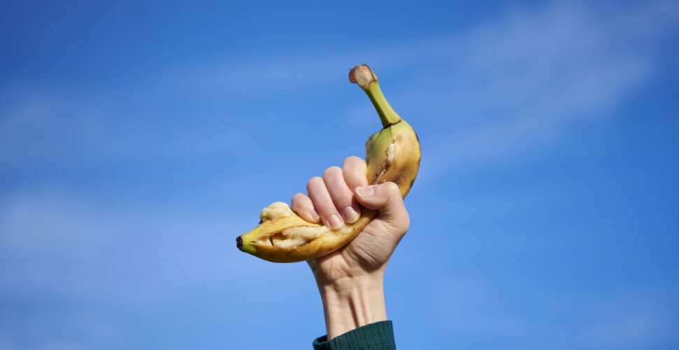 Performance OSTBEGEGUNGEN